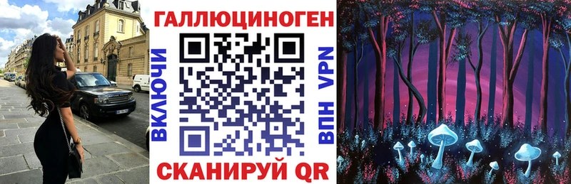 omg сайт  Электроугли  Галлюциногенные грибы мицелий 